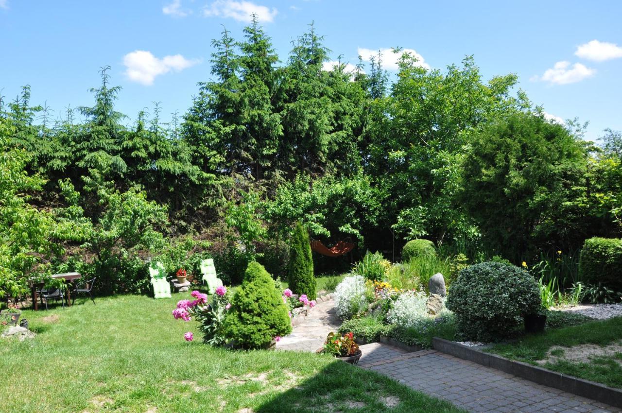 Oaza U Tadeusza Apartment Augustow Exterior photo